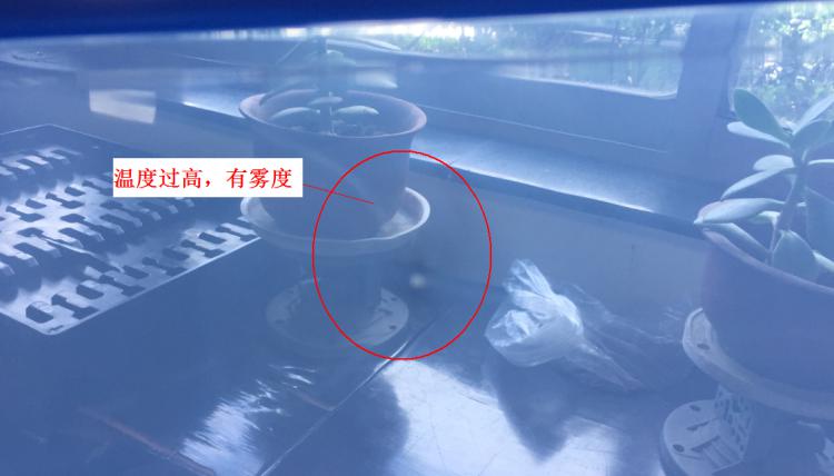 注塑制品質(zhì)量缺陷分析（六）造成制品表面有霧度的主要原因是什么？